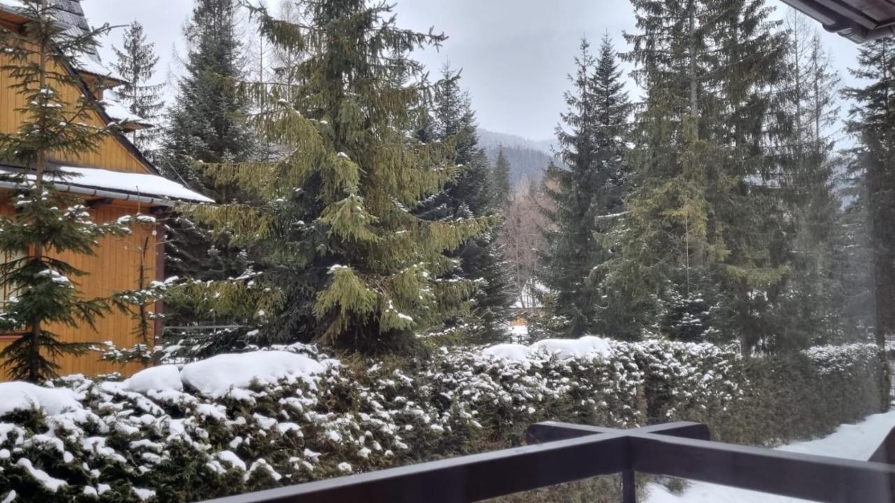 Apart4You Apartamenty Bulwary25 Zakopane Exterior foto