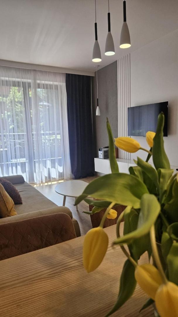 Apart4You Apartamenty Bulwary25 Zakopane Cameră foto